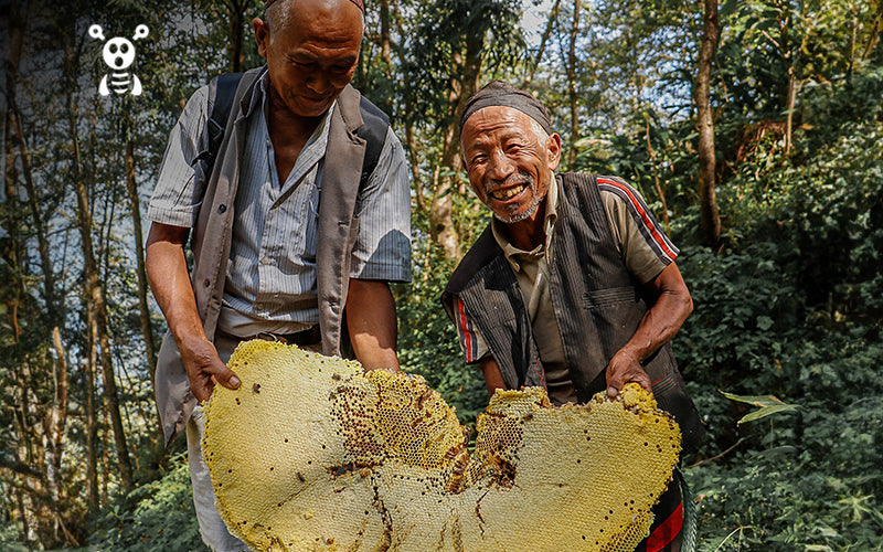 Two Nepali individuals holding a large beehive in a forest